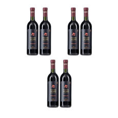 온가족 건강 한모금 로얄통가노니 750mlx2병세트