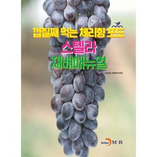 껍질째 먹는 체리향 포도 스텔라 재배매뉴얼