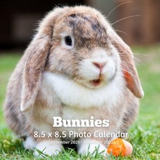 Bunnies 8.5 X 8.5 Calendar September 2021 -December 2022: Monthly Calendar with U.S./UK/ Canadian/Ch... Paperback, Independently Published, English, 9798715325266