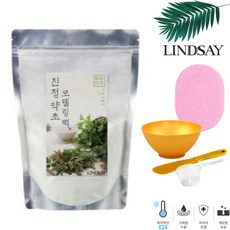 린제이 진정약초 모델링팩 피부관리샵 사용 330g+고급팩도구3종 해면, 1개, 1개입