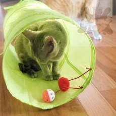 참깨샵 고양이터널 그린 고양이터널놀이터