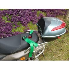 전동 오토바이 휠체어 안전벨트 보호대 낙상 방지, 1개, 그린 용접 안전벨트