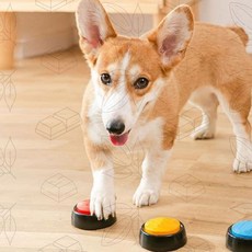 강아지 말하는 버튼 훈련 녹음 장난감 소통 놀이 반려동물, 1개, 봄날하우스  블루