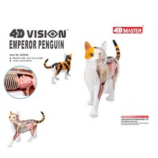 개 해부학 모형 동물 모델 뼈 해골 교육 수 스폿 골격, 쓰리컬러캣 622040