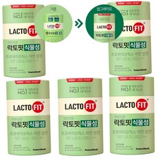 종근당 (리뉴얼 최신제품) 락토핏 식물성 생유산균 5개 2027.03.07 유통기한 최신품, 1개, 300회분