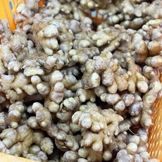 [더리얼파머스] 국내산 경북 햇생강 흙생강, 1개, 흙생강 특품 1kg