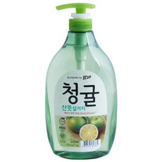 참그린 청귤 주방세제 용기 1kg 산뜻설거지 산뜻 설거지 펌프 세제 리필 기름기제거 펌프형