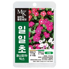 모칸도 좋은씨앗 일일초 씨앗 20립 혼합 퍼시피카믹스 꽃씨 꽃씨앗, 1개