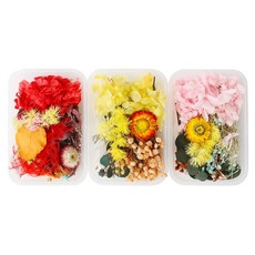 ROMANTIC NOVEMBER 乾花和永生花隨機盒 3P DIY 材料混合, 乾枯保留花隨機盒3P