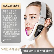 브이라인 LED 얼굴 광자 진동 기계 홈케어 디바, 유스화이트 얼음 12단계  빠른, 기본 모델명/품번