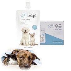 펫우유 애완견 반려동 탈지 애개견 밀크 강아지 우유