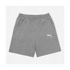 푸마 PUMA 팀골 캐주얼 쇼츠(65860833) 65860833 2524066