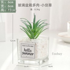 台灣出貨 熱賣 ins風仿真多肉盆栽 仙人掌綠植 客廳擺件 小盆栽裝飾品 綠植假花桌面擺設, 小劍草+ins小方玻, 1個