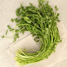 [오초록] 세척완료 향긋한 김해 미나리 1단(200g 내외), 없음