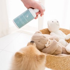 [소비기한임박 27년 1월] 도고앤가또 강아지냄새 강아지 탈취제 숲속향 300ml, 1개