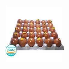 승혜상사 구운계란 황토훈제란 1판 [대란30구], 1개