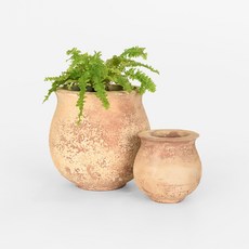 마이플랜트 벨리팟 베트남 빈티지 토분 (화분 단품), 1개, 앤티크