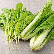 [더리얼파머스] 국내산 어린 열무 얼갈이 반반세트, 1개, 열무 1kg+얼갈이 1kg