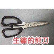 園藝剪刀 生鏽老舊風格 花草修剪工具 懷舊園藝裝飾, 1個