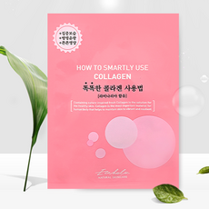 에코홀릭 마스크팩 똑똑한 콜라겐 사용법 마스크팩 시트, 10개, 1개입