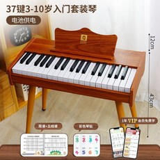 미니 피아노 25건 2옥타브 연습용, 37건반 빈티지 브라운 (다리)