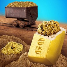 내셔날지오그래픽 화석발굴 금 발굴세트