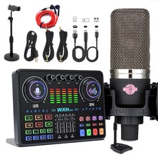 WHX DJ20 直播聲卡，專業級混音器，支援手機電腦直播, 1個, 聲卡+discover電容麥,加購蘋果Lightning OTG線