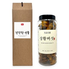 온담 국내산 상황버섯 100g+인삼 들어간 삼계재료 증정, 1개, 100g