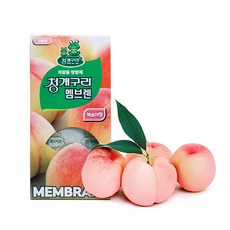 동진TFC 청개구리멤브렌방향제 탈취제 청개구리 멤브렌 차량용방향제, 1개, 복숭아
