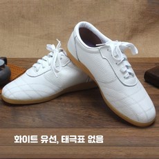 태극권 경기용 남성 가죽운동화 겨울 착용 가성비 좋은 미끄럼방지 경량화 통기성 뛰어난 내마모성 태권도 스포츠화