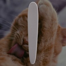 그루밍 고양이 브러쉬 빗 털 혓바닥 애묘, 없음
