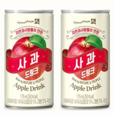사과 드링크 과즙음료 175mlx30캔+30캔(총60캔), 175ml, 60개