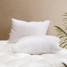 해이니 부드럽고 푹신한 구스다운 베개 1+1, 2개, 화이트