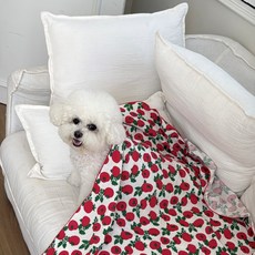 강아지 요루 순면 이중 거즈 블랭킷 애견 여름 이불 고양이 담요 토마토 S, 멍냥이(퍼플)