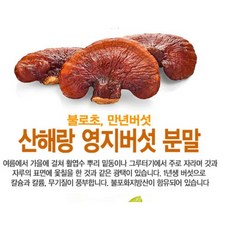 천연재료 산해랑 건강 가루 국내산 영지버섯 분말 180g, 천연재료 산해랑 건강 가루 국내산 영지버섯 분말 180