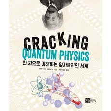 한 권으로 이해하는 양자물리의 세계(CRACKING QUANTUM PHYSICS), 북스힐, 브라이언클레그