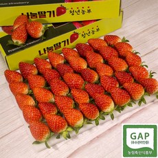 서산 딸기 특품 1단 40알 900g 설향 산지직송, 특품 40과, 1박스