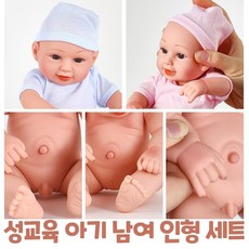 말랑말랑 남자 여자 성교육 아기인형 세트 아기 돌보기 정서 촉감 소근육 발달 어린이집 유치원 학습 교구, 1세트, 1세트
