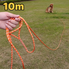 반려동물 산책 훈련용 고강도 반사 로프 리드줄, 1개, 오렌지