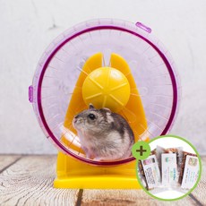 햄스터 무소음 쳇바퀴 (중형) 분리가능 유리부착가능, 1개
