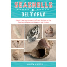 (영문도서)Seashells of Delmarva: Identify and Learn about the Shells You Find on the Beach... Paperback, Schiffer Publishing, English, 9780764371127