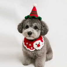 세파사 고양이 강아지 모자 케이프 손뜨개 크리스마스 코스튬 세트, 1개, 레드산타 모자&케이프세트