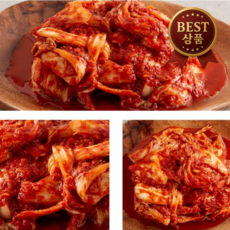 호야마트 국내산 전라도 실비 매운 겉절이, 1박스, 2kg