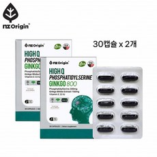 하이큐 포스파티딜세린 징코 800/인지질 징코 영양제/대두인지질 은행잎추출물/뇌 기억력 인지력 혈행 도움, 2개
