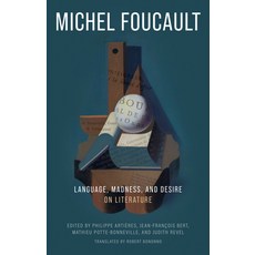 (外文書)Language Madness and Desire: On Literature Hardcover, Polity Press, English