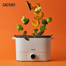 캑터시 3in1 만능 전기 찜기 멀티쿠커 CY-MS0252WH