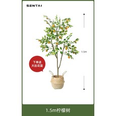 인테리어 조화 레몬나무 생화같은 인조화분, 1.5m 레몬나무 / 대통 화분