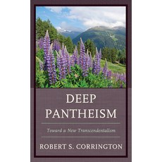 (영문도서) Deep Pantheism Hardcover, Lexington Books, English, 9781498529693
