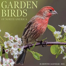 (영문도서)Garden Birds 2026 12 X 12 Wall Calendar Spiral, Willow Creek Press Calendars, English, 9781549251184