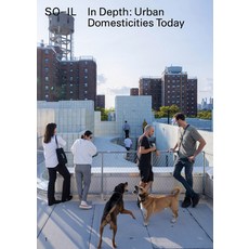 (영문도서) So-Il: In Depth: Urban Domesticities Today Paperback, Lars Muller Publishers, English, 9783037787571